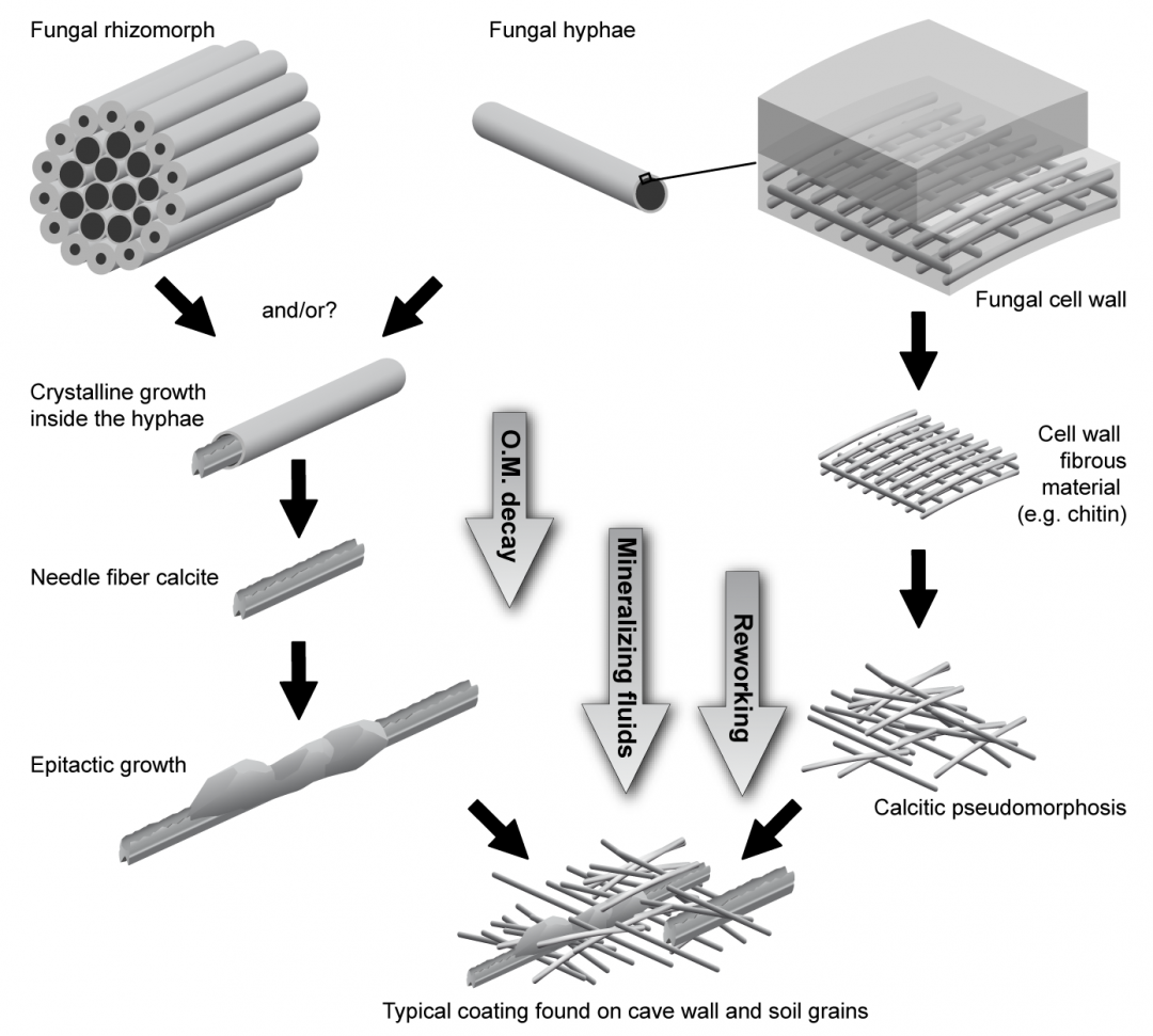 Nanofiber phd thesis 06 picture